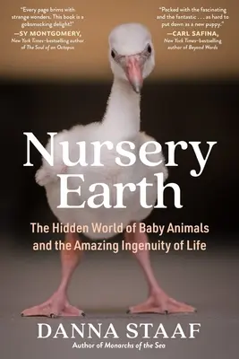 Nursery Earth: Lumea ascunsă a puilor de animale și uimitoarea ingeniozitate a vieții - Nursery Earth: The Hidden World of Baby Animals and the Amazing Ingenuity of Life