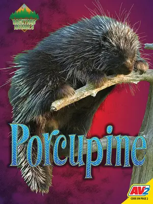 Porcul Spinos - Porcupine