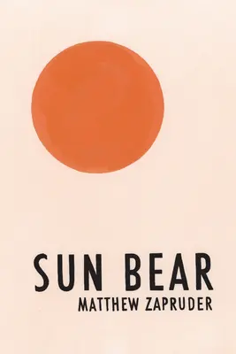 Ursul Soarelui - Sun Bear