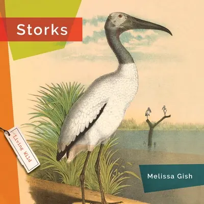Berzele - Storks