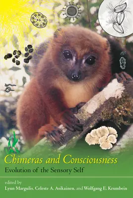 Chimera și conștiința: Evoluția sinelui senzorial - Chimeras and Consciousness: Evolution of the Sensory Self
