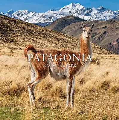 Parcul Național Patagonia: Chile: Chile - Patagonia National Park: Chile: Chile