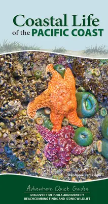 Viața de coastă de pe coasta Pacificului: Descoperiți Tidepools și identificați Beachcombing Finds și Iconic Wildlife - Coastal Life of the Pacific Coast: Discover Tidepools and Identify Beachcombing Finds and Iconic Wildlife