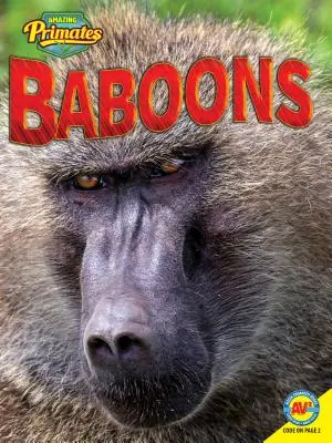 Babuini - Baboons
