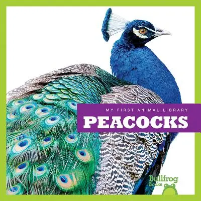 Păuni - Peacocks