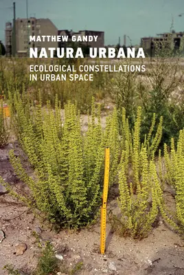 Natura Urbana: Constelații ecologice în spațiul urban - Natura Urbana: Ecological Constellations in Urban Space