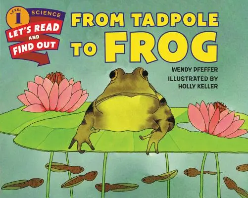 De la cățeluș la broască - From Tadpole to Frog