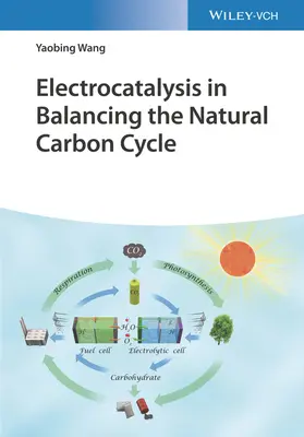 Electrocataliza în echilibrarea ciclului natural al carbonului - Electrocatalysis in Balancing the Natural Carbon Cycle