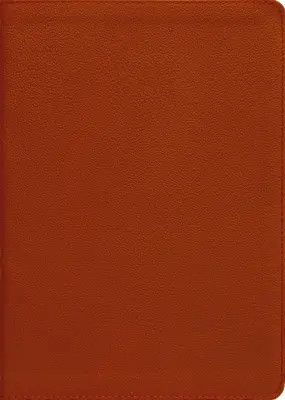 Esv, Biblia cu lanț de referință Thompson, piele naturală, piele de vițel, Tan, litere roșii - Esv, Thompson Chain-Reference Bible, Genuine Leather, Calfskin, Tan, Red Letter