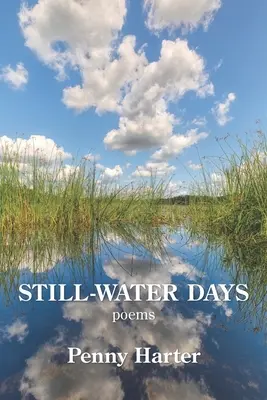 Zile de apă liniștită - Still-Water Days