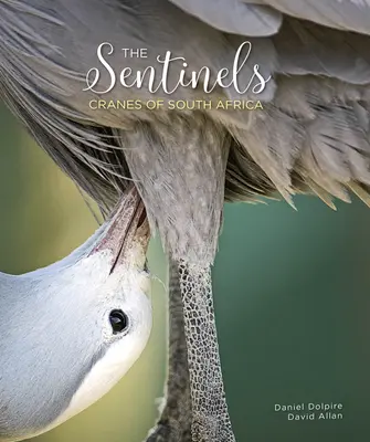 Santinelele: Cocorii din Africa de Sud - The Sentinels: Cranes of South Africa