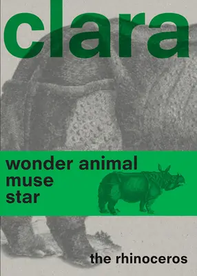 Rinocerul Clara - Clara the Rhinoceros