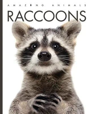 Ratonii - Raccoons