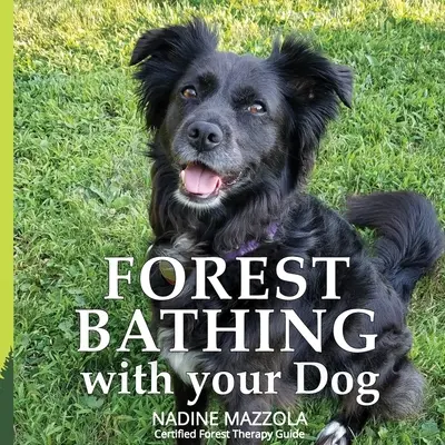 Baia de pădure cu câinele tău - Forest Bathing with your Dog