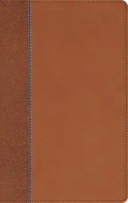 Niv, Biblia de studiu Quest pentru adolescenți, Leathersoft, maro, Comfort Print: Biblia cu întrebări și răspunsuri - Niv, Quest Study Bible for Teens, Leathersoft, Brown, Comfort Print: The Question and Answer Bible