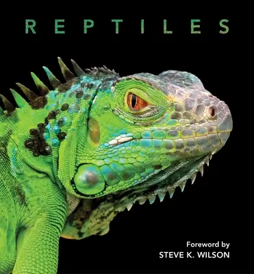 Reptile - Reptiles
