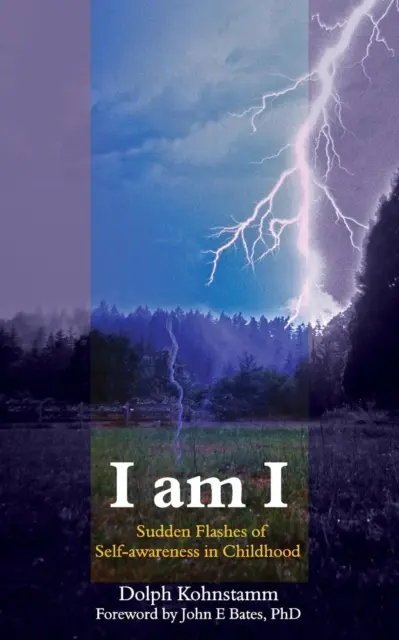Eu sunt eu - Fulgurații bruște de conștiință de sine în copilărie - I Am I - Sudden Flashes of Self-Awareness in Childhood