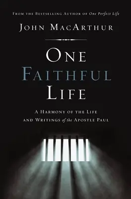 O viață credincioasă: O armonie a vieții și a scrisorilor lui Pavel - One Faithful Life: A Harmony of the Life and Letters of Paul