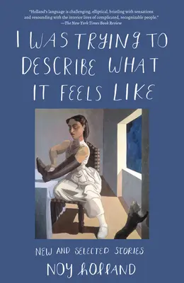 Încercam să descriu ce se simte: Povestiri noi și selectate - I Was Trying to Describe What it Feels Like: New and Selected Stories