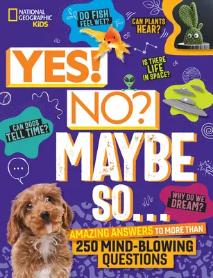Da! Nu? Poate că da...: Răspunsuri uimitoare la mai mult de 250 de întrebări uluitoare - Yes! No? Maybe So...: Amazing Answers to More Than 250 Mind-Blowing Questions