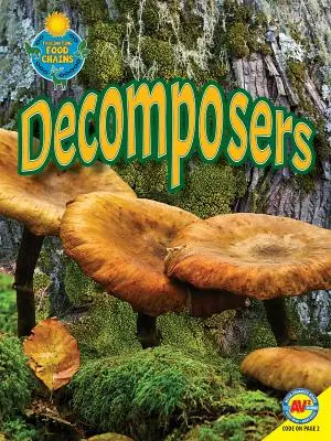 Decompozitori - Decomposers