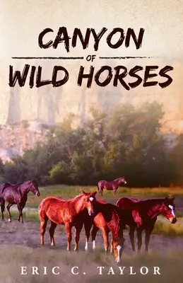 Canyon of Wild Horses (Canionul cailor sălbatici) - Canyon of Wild Horses