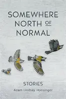 Undeva la nord de normal - Somewhere North of Normal