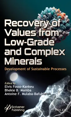 Recuperarea valorilor din minerale de calitate inferioară și minerale complexe: Dezvoltarea de procese durabile - Recovery of Values from Low-Grade and Complex Minerals: Development of Sustainable Processes