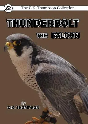Șoimul Thunderbolt - Thunderbolt the Falcon