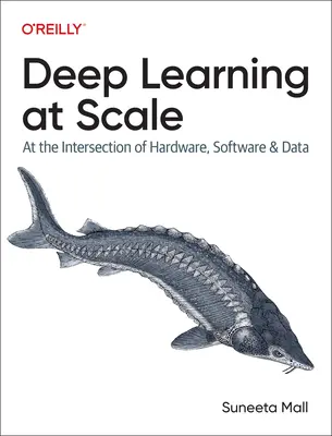 Deep Learning la scară largă: La intersecția dintre hardware, software și date - Deep Learning at Scale: At the Intersection of Hardware, Software, and Data