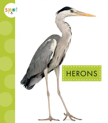 Heronii - Herons