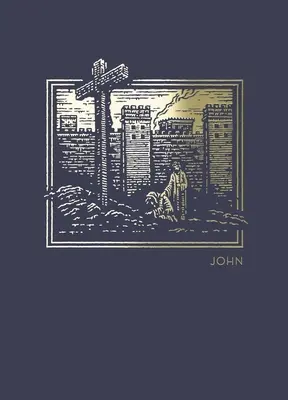 Jurnalul biblic Net Abide - Ioan, Carte broșată, Tipar confortabil: Sfânta Biblie - Net Abide Bible Journal - John, Paperback, Comfort Print: Holy Bible