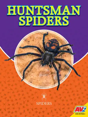 Păianjeni Huntsman - Huntsman Spiders