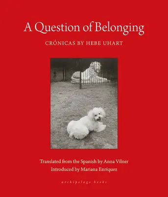 O problemă de apartenență: Crnicas - A Question of Belonging: Crnicas