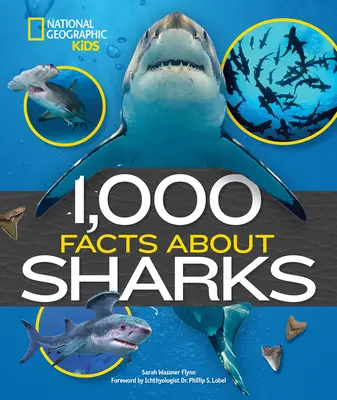 1.000 de fapte despre rechini - 1,000 Facts about Sharks