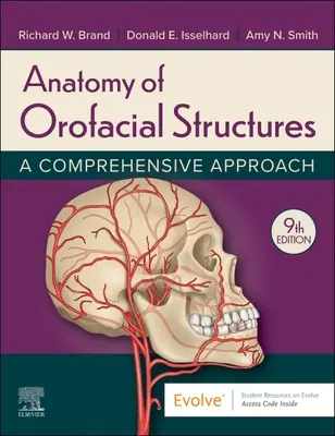 Anatomia structurilor orofaciale: O abordare cuprinzătoare - Anatomy of Orofacial Structures: A Comprehensive Approach