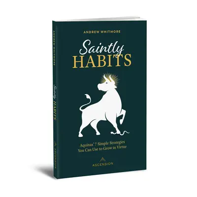 Obiceiuri sfinte: Cele 7 strategii simple ale lui Aquino pe care le poți folosi pentru a crește în virtute - Saintly Habits: Aquinas' 7 Simple Strategies You Can Use to Grow in Virtue
