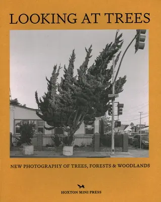 Privind la copaci - Looking At Trees