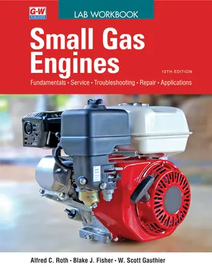 Motoare mici cu gaz - Small Gas Engines
