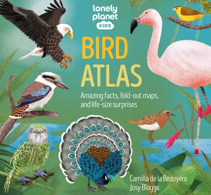 Lonely Planet Atlasul păsărilor pentru copii 1 - Lonely Planet Kids Bird Atlas 1