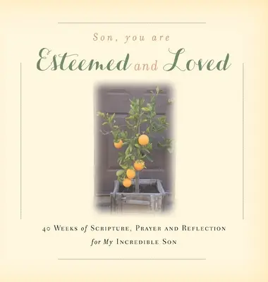 Fiule, tu ești stimat și iubit: 40 de săptămâni de Scriptură, rugăciune și reflecție pentru fiul meu incredibil - Son, You are Esteemed and Loved: 40 Weeks of Scripture, Prayer and Reflection for My Incredible Son