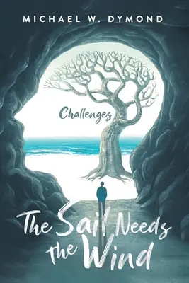 Vela are nevoie de vânt: Provocări - The Sail Needs the Wind: Challenges