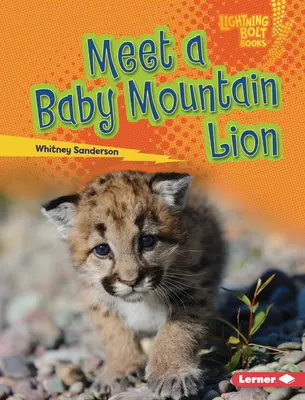 Faceți cunoștință cu un pui de leu de munte - Meet a Baby Mountain Lion