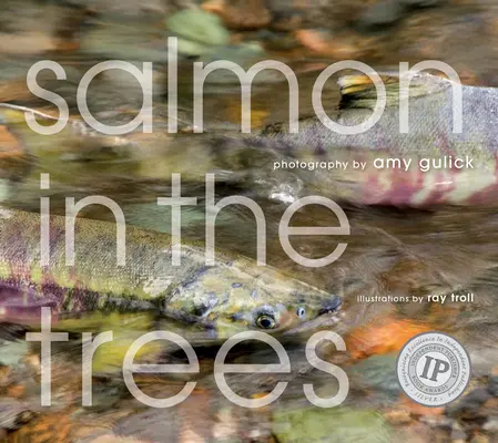 Somon în copaci: Viața în pădurea tropicală Tongass din Alaska [Cu CD (Audio)] - Salmon in the Trees: Life in Alaska's Tongass Rain Forest [With CD (Audio)]
