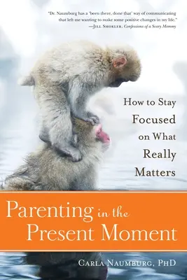 Parenting in the Present Moment: Cum să rămâi concentrat pe ceea ce contează cu adevărat - Parenting in the Present Moment: How to Stay Focused on What Really Matters