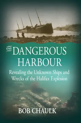 Portul periculos: Dezvăluirea navelor și epavelor necunoscute ale exploziei de la Halifax (Revealing the Unknown Ships and Wrecks of the Halifax Explosion) - The Dangerous Harbour: Revealing the Unknown Ships and Wrecks of the Halifax Explosion