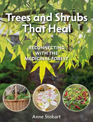 Copaci și arbuști care vindecă: Reconectarea cu pădurea medicinală - Trees and Shrubs That Heal: Reconnecting with the Medicinal Forest