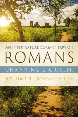 Un comentariu intertextual asupra romanilor, volumul 3 - An Intertextual Commentary on Romans, Volume 3