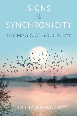 Semne și sincronicitate: Magia vorbirii sufletului (The Magic of Soul-Speak) - Signs & Synchronicity: The Magic of Soul-Speak