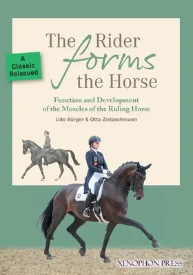 Călărețul formează calul: Funcția și dezvoltarea mușchilor calului de călărie - The Rider Forms the Horse: Function and Development of the Muscles of the Riding Horse